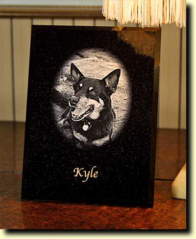 Vignette - Kyle